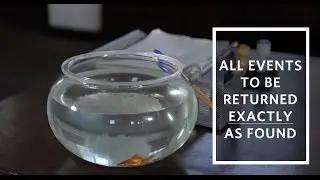 All Events To Be Returned Exactly As Found [48 Hour Film Project Cape Town 2016]