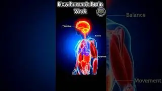 human brain #shortvideo #viral #3dbiology #anatomy3d #viralvideo  #ytshorts