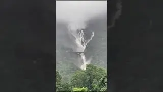 #dudhsagar #dudhsagarfalls #goa #trekking #trip