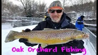 Oak Orchard Steelhead and Trout Fishing