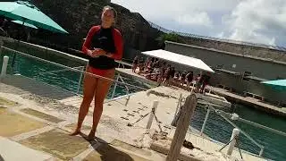 Dolphin Quest- Royal Naval Dockyard- Bermuda 2019
