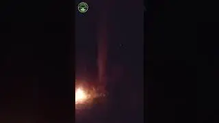 Evidence #4 - Proof of alien caught on camera