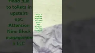 @nine block management section 8 flood apt in Newark New Jersey February 3, 2025