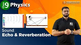 Echo and Reverberation Class 9 Physics Chapter 12 Sound | CBSE