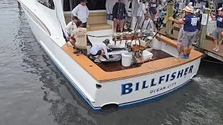 2024 White Marlin Open, Billfisher, Duffie Boatworks 2nd Place White 76 pounds worth 1.7 mil