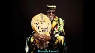James Blood Ulmer - Little Red Rooster || Blue Guitar Channel