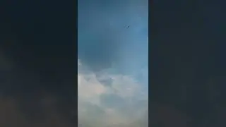 Fly  like a free bird #sky #nature #bangladesh