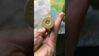 So, How Big Is An 8 Gauge Shotgun Shell? #shorts