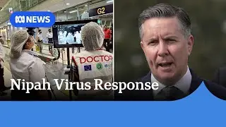 Australia closely monitoring Nipah virus after detection in India | ABC NEWS