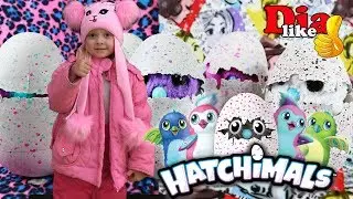 Hatchimals 2 Хэтчималс новая коллекция Яйцо сюрприз