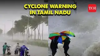 IMD issues cyclone warning in Tamil Nadu, schools close due to heavy rainfall