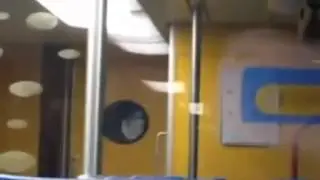 Ghost Sighting from inside a train