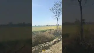 Our India more beautifull than any other country ☠️