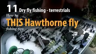 How to &bull; Dry fly fishing - Terrestrials &bull; THIS Hawthorne fly &bull; fishing tips