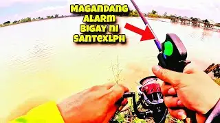 EP3 Aling Nene's Pond Entry Bangus 900 grams ni @santexlph6892