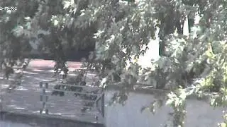 Advanced Motion Detection