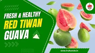&ldquo;Taiwan Red Guava Taste Test 😋 | इतना मीठा कि दिल खुश हो जाए!&rdquo; 