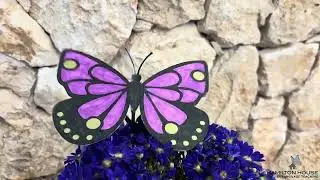 Flapping butterfly Craft
