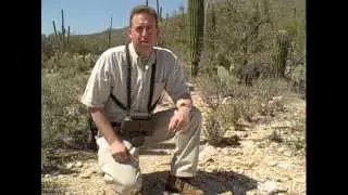How to use your Utility Straps by Saddleback Leather