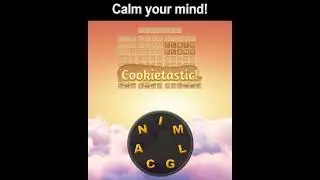 wordcookies video vertical 220602 skyeomkim@syhan B3 airplane17 0