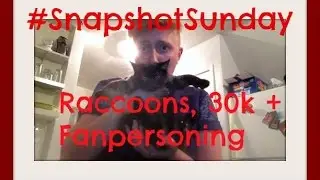 #SnapshotSunday: Raccoons, 30k + Fanpersoning || Realisticallysaying