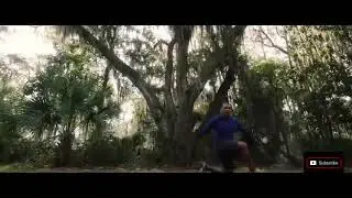 FALCON SHIELD TRAINING SCENE #falcon