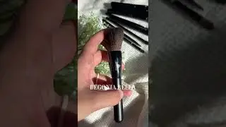 Makeup Brush Review Begonia Bella Essential Set