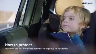 Blue Air Corporate Film Introduction
