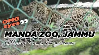 Jammu Manda Zoo | Exploring Jammu | D and Destinations