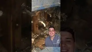 Mold Damage - Homeowners Insurance Claim