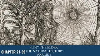 The Natural History Vol. 4 🎧 Roman Nature & Science | Pliny