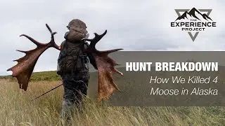 Hunt Breakdown: How We Killed 4 Moose in Alaska &mdash; The Experience Project [EXP013]