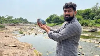 Vishal Bhai Ka Flower Horn Ko Kya Hua 🤕#flowerhorn