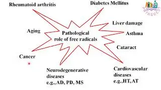 CELL INJURY 2  MECHANISMS OF CELL INJURY BY DR. GAURI METKAR