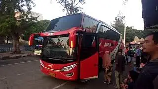 bus agra mas membludak di terminal grogol