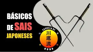 Aprende a manejar los SAIS