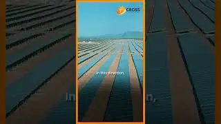 SDG 13: Revolutionizing Climate Action: Building a Sustainable World Together | Cross Barriers