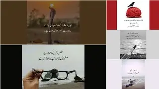 true lines islamic quotes aqwal e zareen inspritional shayeri#viralvideo#beats Haadi khan