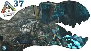 ARK Survival Evolved Gameplay - S2 Ep37 - North Island Caving Part 1 - Let's Play