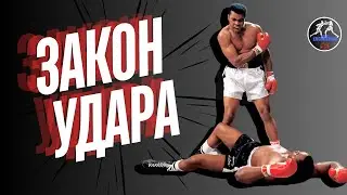 Boxing how to hold your head so as not to get hit