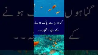 Spiritual Cleansing: The Key to Ridding from Sins|گناہوں سے نجات کے لئے وظیفہ|#spirituality  #wazaif
