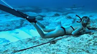 ST Helena Bay Dive Episode 7
