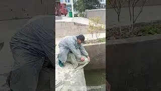 Release A Large Fish Into A Home Concrete - Pond