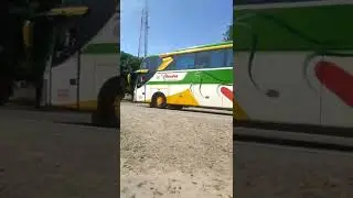 Bus Candra Jetbus 3 Voyager #shorts