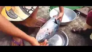 Rohu Fish Cutting | Big Carp Clean And Fillet | How to Cutting Fish