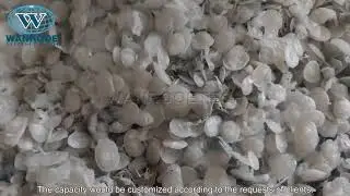 100-500kg/h Plastic Film Squeezing Pelletizing Machine Waste Plastic Recycling Pelletizing Machine