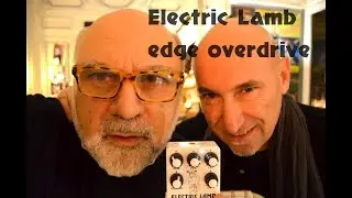 Electric Lamb edge overdrive pedal demo