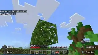 Minecrafting new world 3