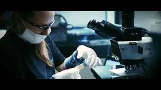 Schott New Xensation&reg; Flex is ultra-thin foldable glass