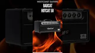 Wow !! Bad Cat Mod Shop Hot Cat 50 Launches ! @bad_cat_amps @OlaEnglund